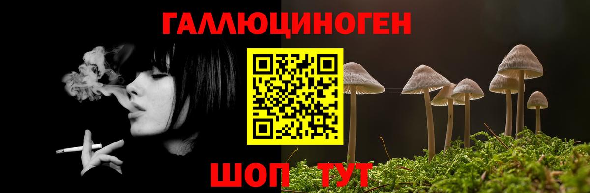 Псилоцибиновые грибы Cubensis  наркота  Березники  Вход с VPN 
